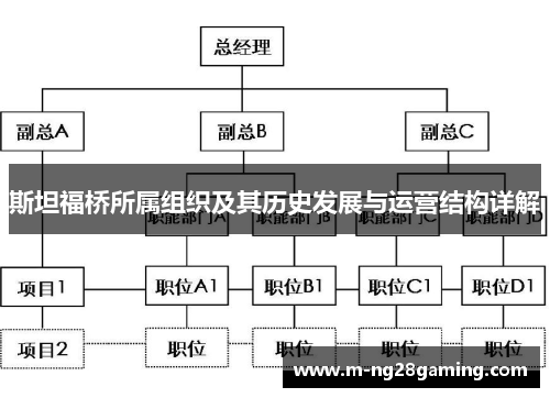 斯坦福桥所属组织及其历史发展与运营结构详解
