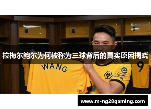 拉梅尔鲍尔为何被称为三球背后的真实原因揭晓 拉梅尔鲍尔为何被称为三球背后的真实原因揭晓