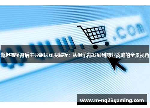 斯坦福桥背后主导组织深度解析：从俱乐部发展到商业战略的全景视角
