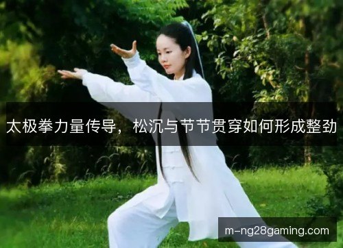 太极拳力量传导,松沉与节节贯穿如何形成整劲 太极拳力量传导,松沉与节节贯穿如何形成整劲
